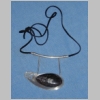 Orthocerus
